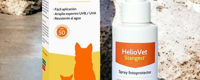Benefits of using sunscreen in cats and dogs malta,  malta, Vetcare Animal Clinic malta
